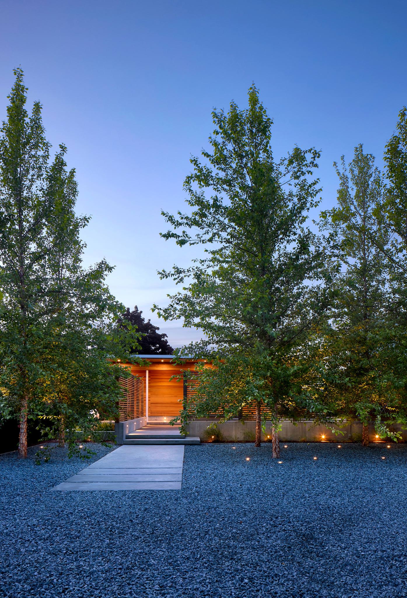 Dusk view of entry to modern residence featuring wood finishes surrounding trees and gravel driveway